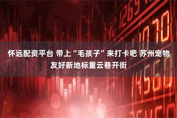怀远配资平台 带上“毛孩子”来打卡吧 苏州宠物友好新地标重云巷开街